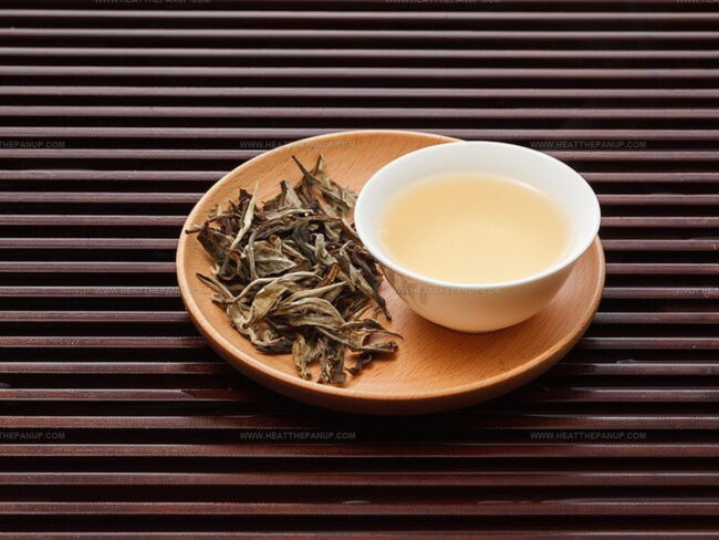 What Exactly Is White Tea?