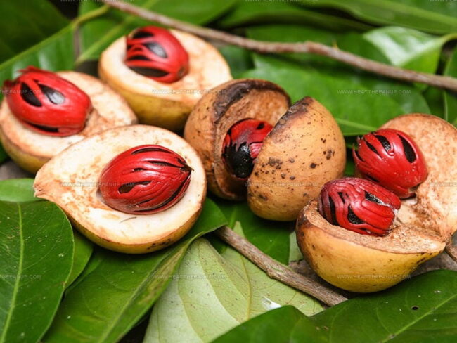 Aromatic Nutmeg: What Is It?