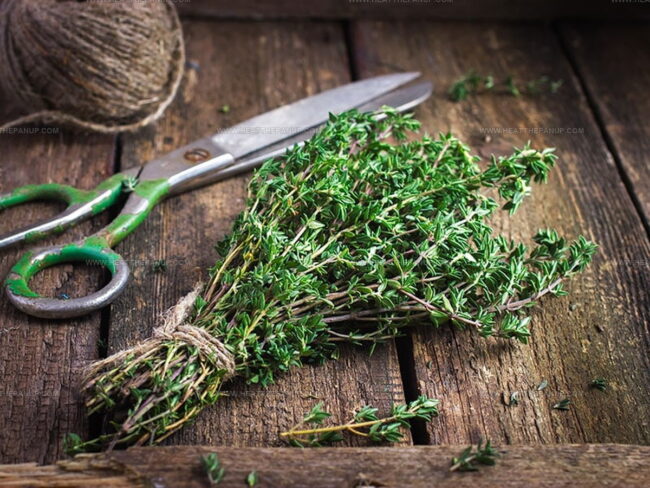 Mistakes to Avoid When Swapping Thyme in Recipes