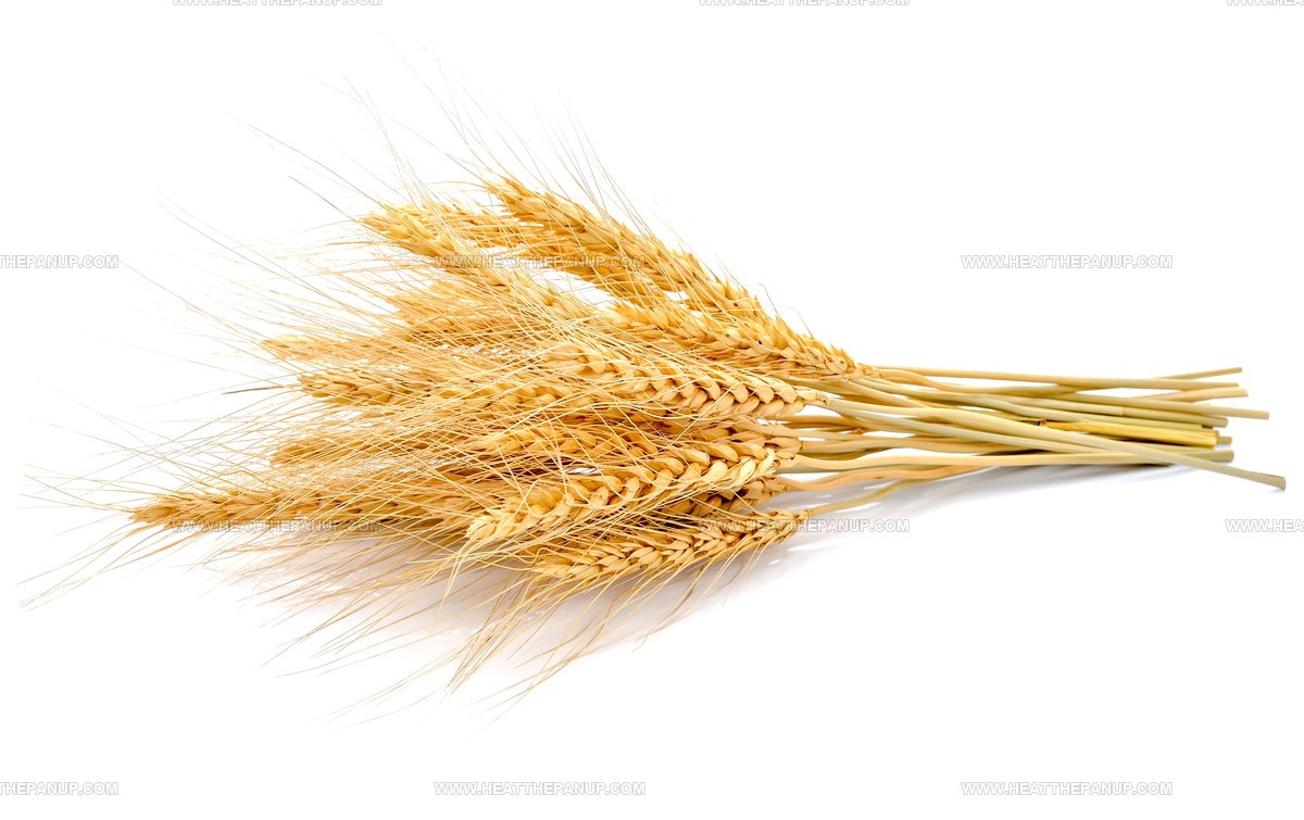 What Does Barley Taste Like? A Nutty, Earthy Grain Explained