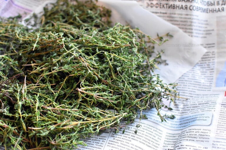 3 Thyme Spice Replacements That Keep the Flavor