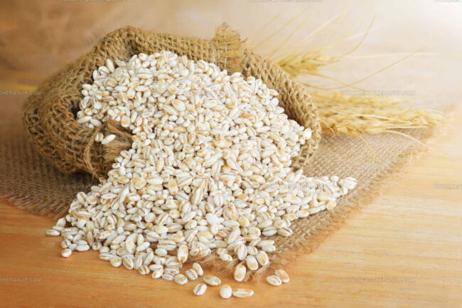 Flavor of Barley