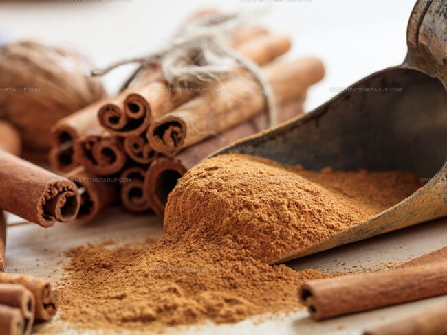 The Overview of Cinnamon