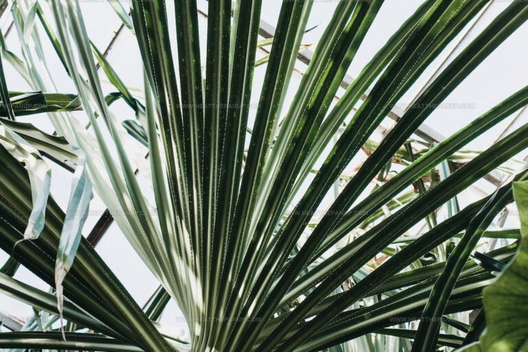 What Does Pandan Taste Like? A Sweet Journey Into Nature's Candy